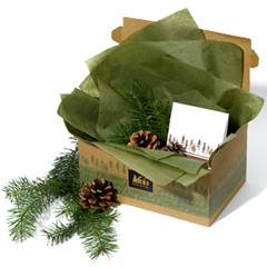 REI Giftcard